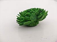 Reusable Marigold Flowers