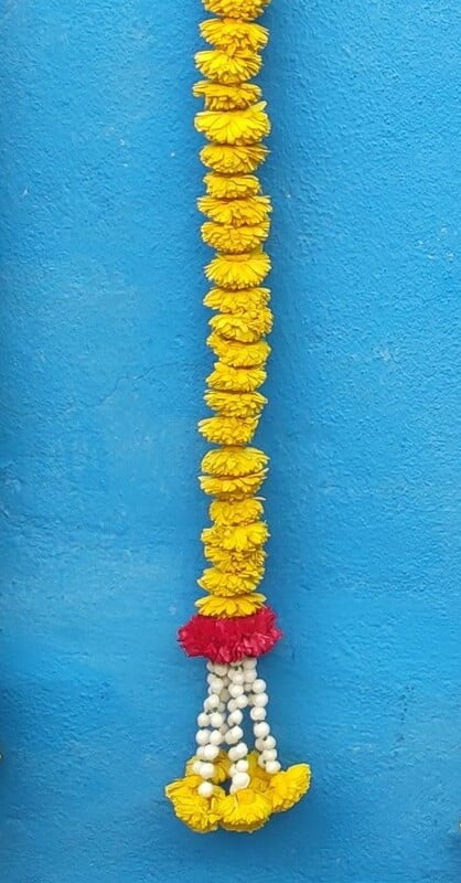 Reusable Marigold with veni and hanging