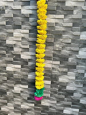 Marigold Hanging