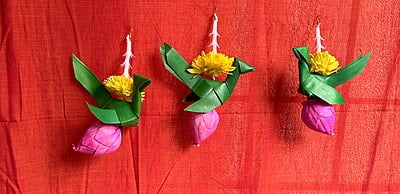 Parrot Hanging